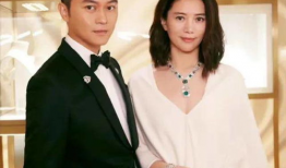 娱乐圈吃瓜爆料素材下载,揭秘明星背后的秘密与真相