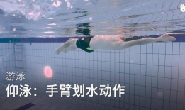 仰泳教学视频,轻松掌握水上飘移技巧