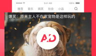 西瓜视频主页,短视频盛宴，尽享精彩瞬间