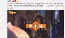 姐弟啪啪视频,一场禁忌的激情碰撞