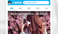 app视频,从APP视频看科技与艺术的完美融合